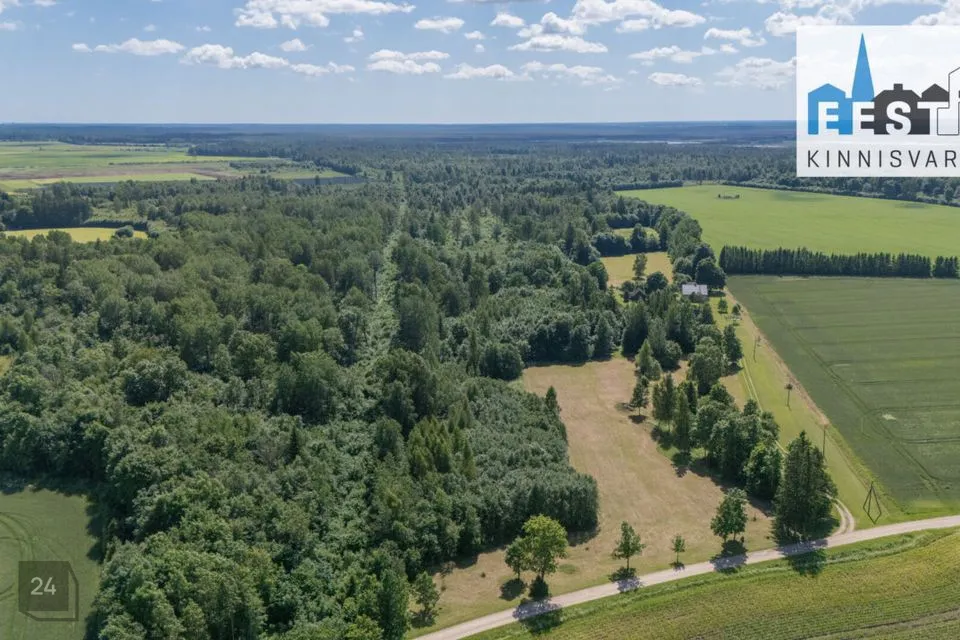 Maatulundusmaa, 214654 m² Maa - Põhja-Pärnumaa vald, Tõrdu küla - foto 5