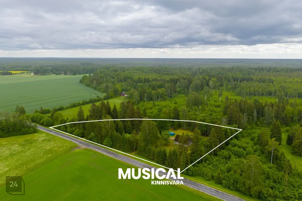 Elamumaa, 10734 m² Maa  -  Põltsamaa vald, Uuevälja küla - foto 2