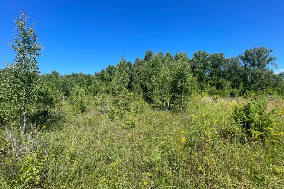 Земля жилой застройки, 2274 m² участок в Haapsalu linn, Pusku küla - фото 3