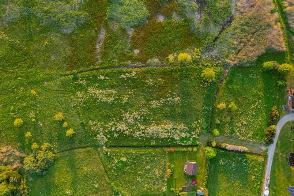 Elamumaa, 6931 m² Maa  -  Häädemeeste vald, Tahkuranna küla - foto 5