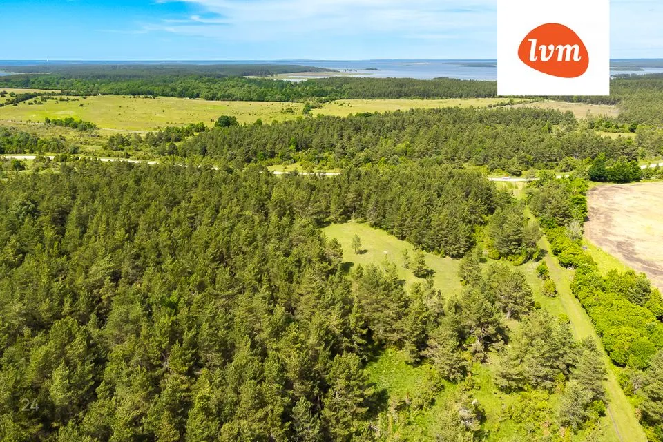 Maatulundusmaa, 25433 m² Maa - Saaremaa vald, Atla küla - foto 4