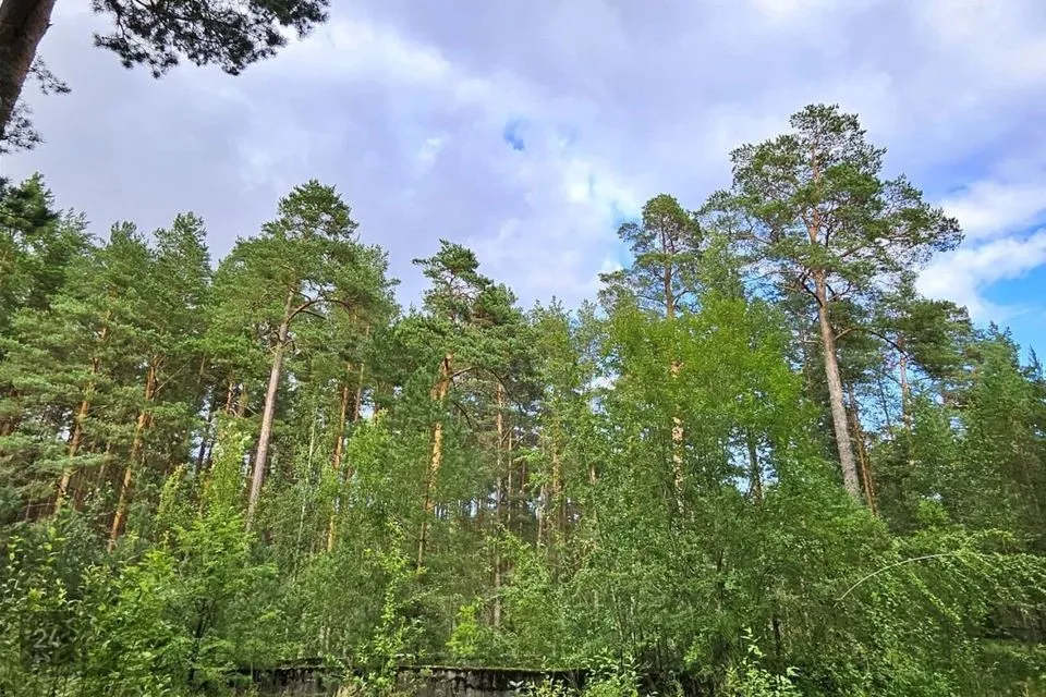 Riigikaitsemaa, 2020 m² Maa  -  Narva-Jõesuu linn, Narva-Jõesuu linn - foto 5