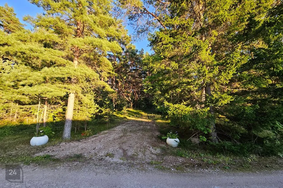 Maatulundusmaa, 1773 m² Maa  -  Lääne-Nigula vald, Tuksi küla / Bergsby - foto 2