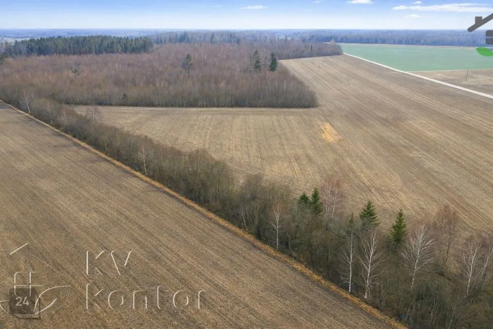 Maatulundusmaa, 23697 m² Maa  -  Kose vald, Ojasoo küla - foto 2