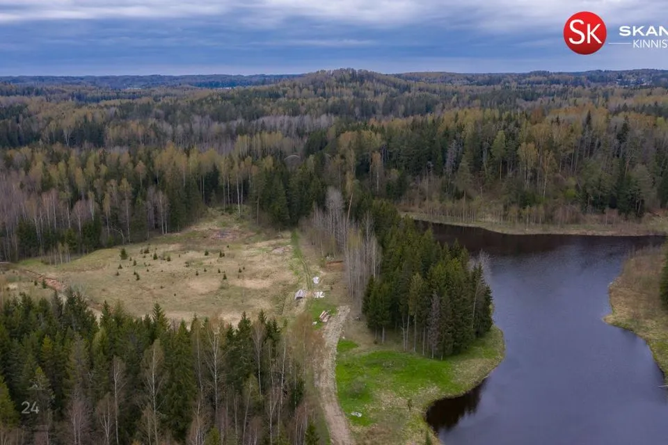 Cultivated land, 10070 m² land in Otepää vald, Nüpli küla - photo 3