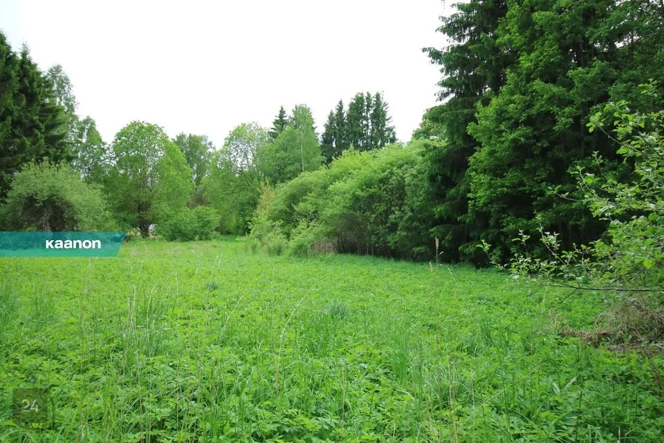 Elamumaa, 2118 m² Maa - Kambja vald, Pangodi küla - foto 2