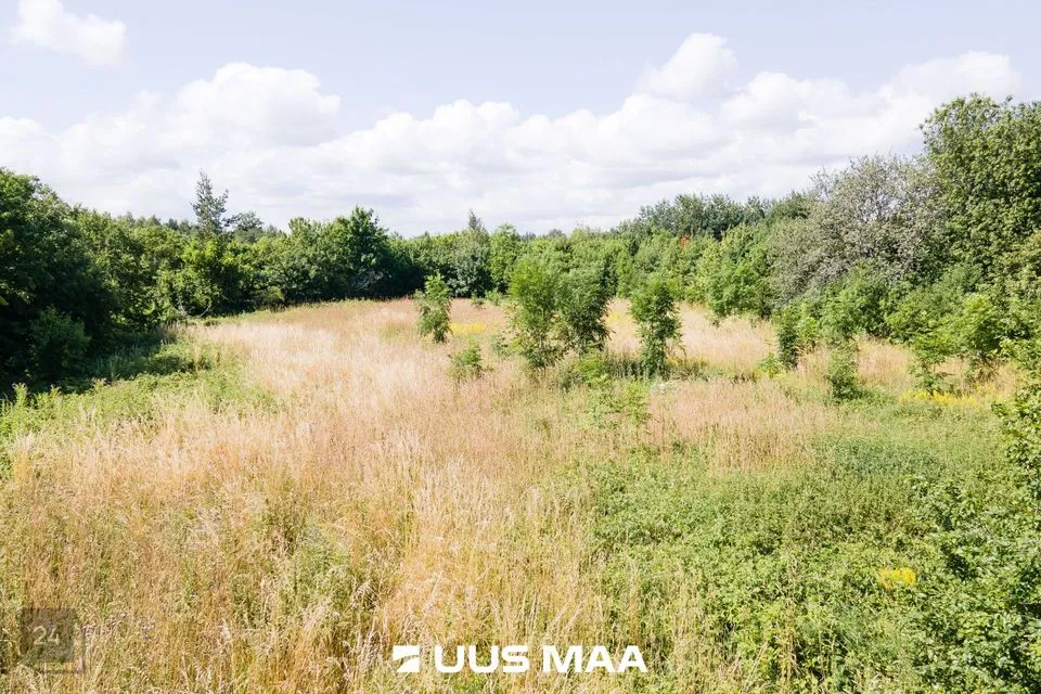 Maatulundusmaa, 3351 m² участок в Saaremaa vald, Muratsi küla - фото 2