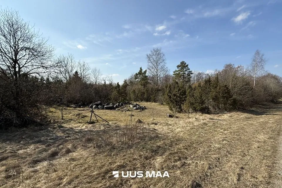 Maatulundusmaa, 12321 m² Maa  -  Saaremaa vald, Oitme küla - foto 2