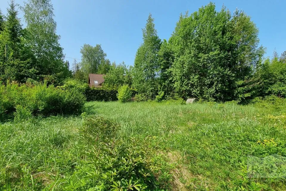 Elamumaa, 3847 m² Maa  -  Saue vald, Laitse küla - foto 4