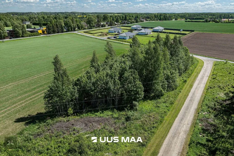 Maatulundusmaa, 27087 m² Maa - Kambja vald, Külitse alevik - foto 3