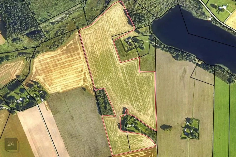 Maatulundusmaa, 214011 m² Maa  -  Põlva vald, Tilsi küla - foto 2