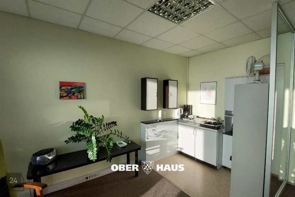 44 m² business - photo 2