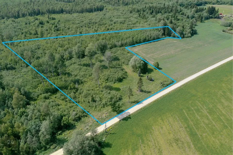 Maatulundusmaa, 20000 m² Maa - Väike-Maarja vald, Liivaküla
