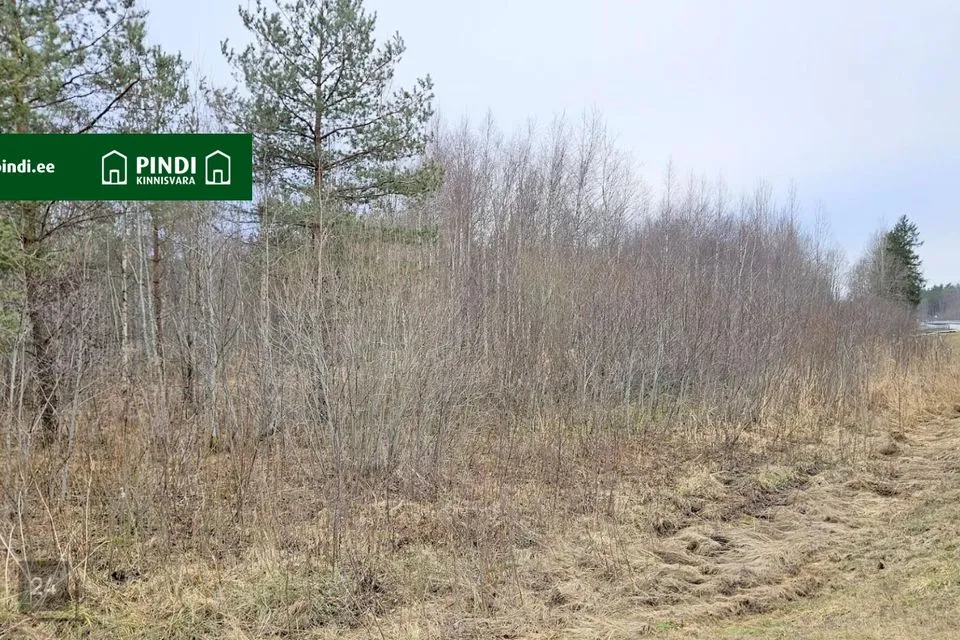 Maatulundusmaa, 13597 m² участок в Märjamaa vald, Sipa küla - фото 4