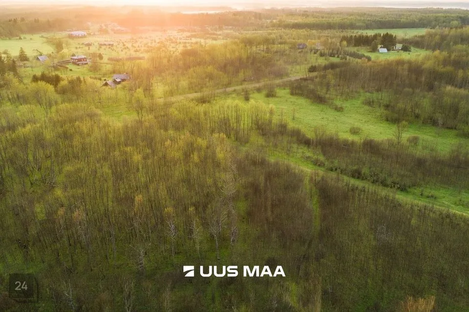 Maatulundusmaa, 12020 m² участок в Saue vald, Hüüru küla - фото 3