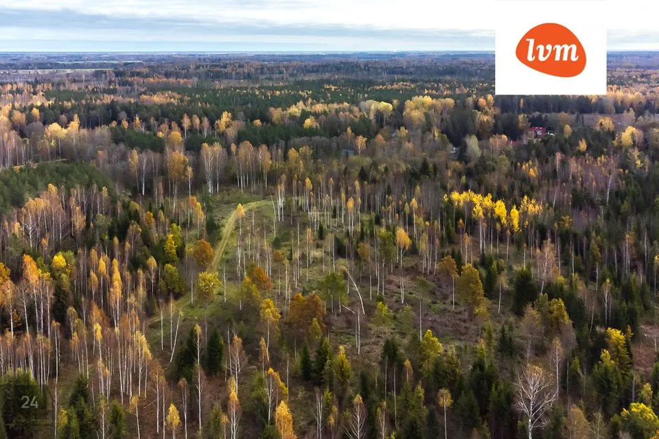 Maatulundusmaa, 69000 m² участок в Pärnu linn, Kihlepa küla - фото 4