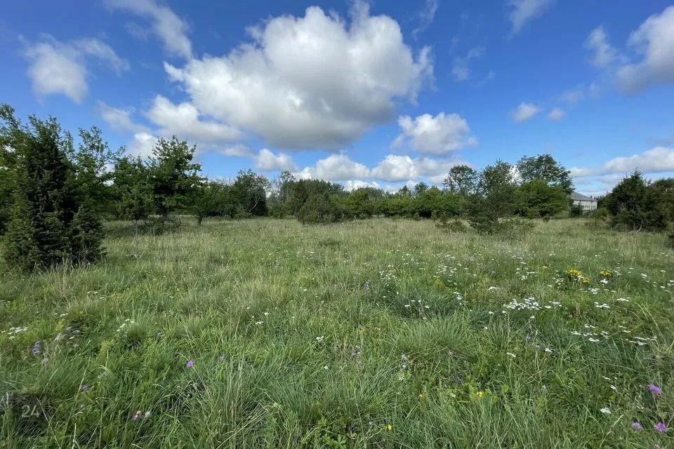 Maatulundusmaa, 26700 m² Maa  -  Saaremaa vald, Linnuse küla - foto 3