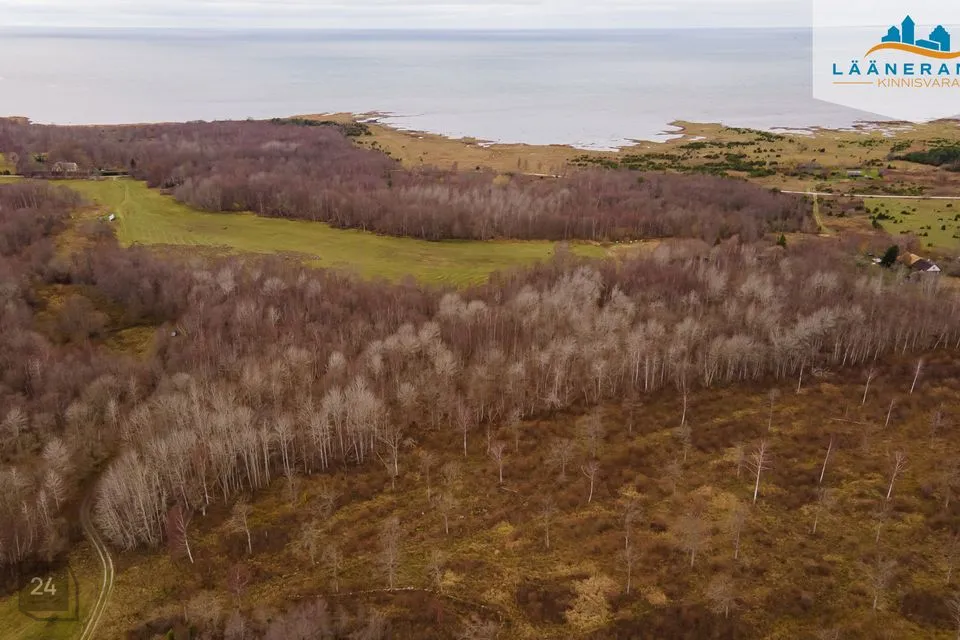 Maatulundusmaa, 50045 m² Maa - Saaremaa vald, Rahuste küla - foto 3
