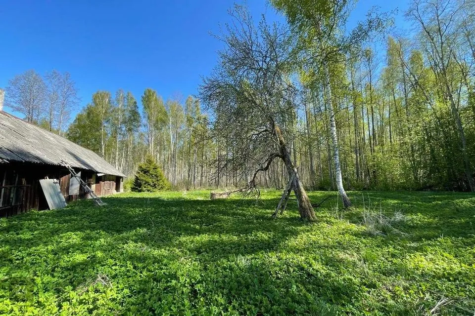 3-комнатная дом в Viljandi vald, Vaibla küla - фото 2