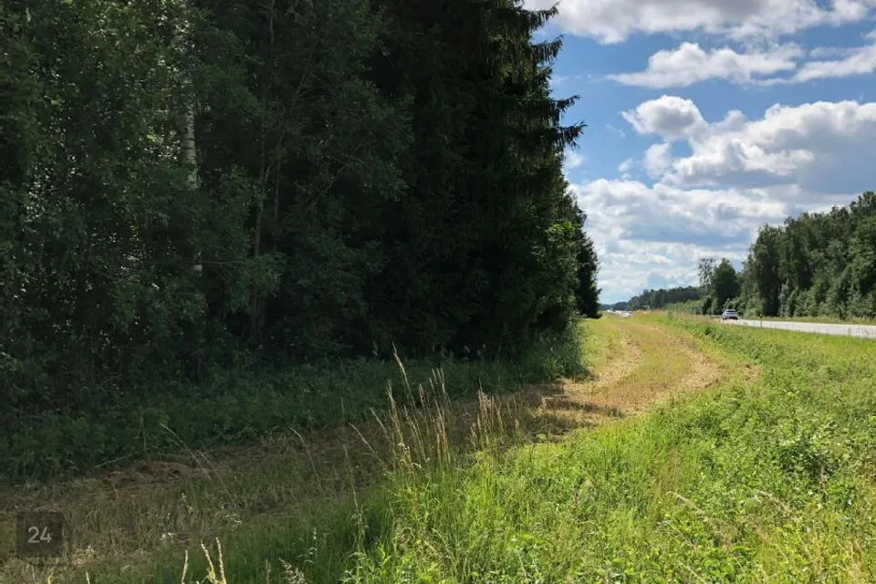 Maatulundusmaa, 29300 m² Maa - Märjamaa vald, Lestima küla - foto 4