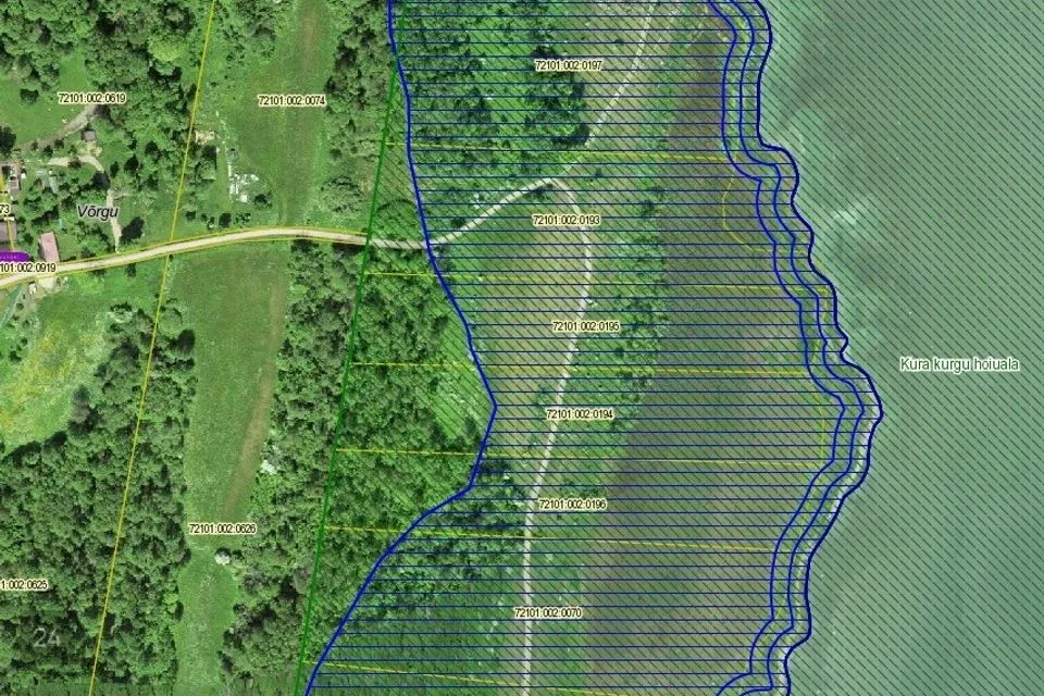 Maatulundusmaa, 16186 m² Maa  -  Saaremaa vald, Anseküla - foto 4
