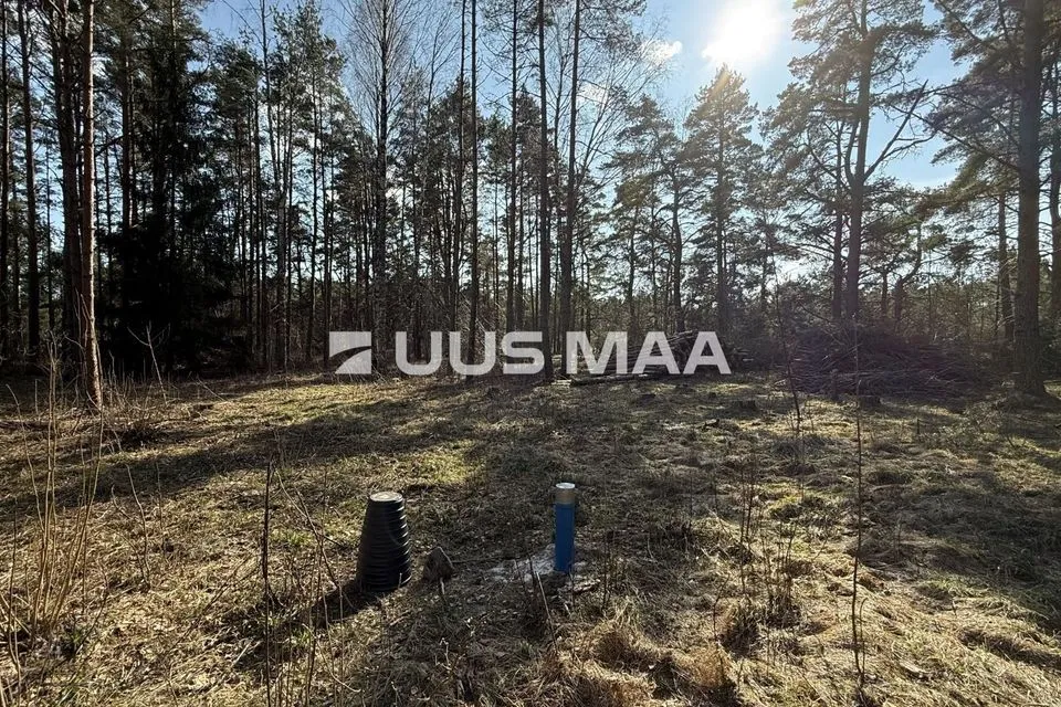 Elamumaa, 4905 m² Maa - Saaremaa vald, Laugu küla