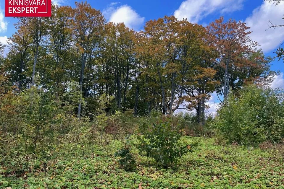 Maatulundusmaa, 6955 m² Maa  -  Pärnu linn, Aruvälja küla - foto 3