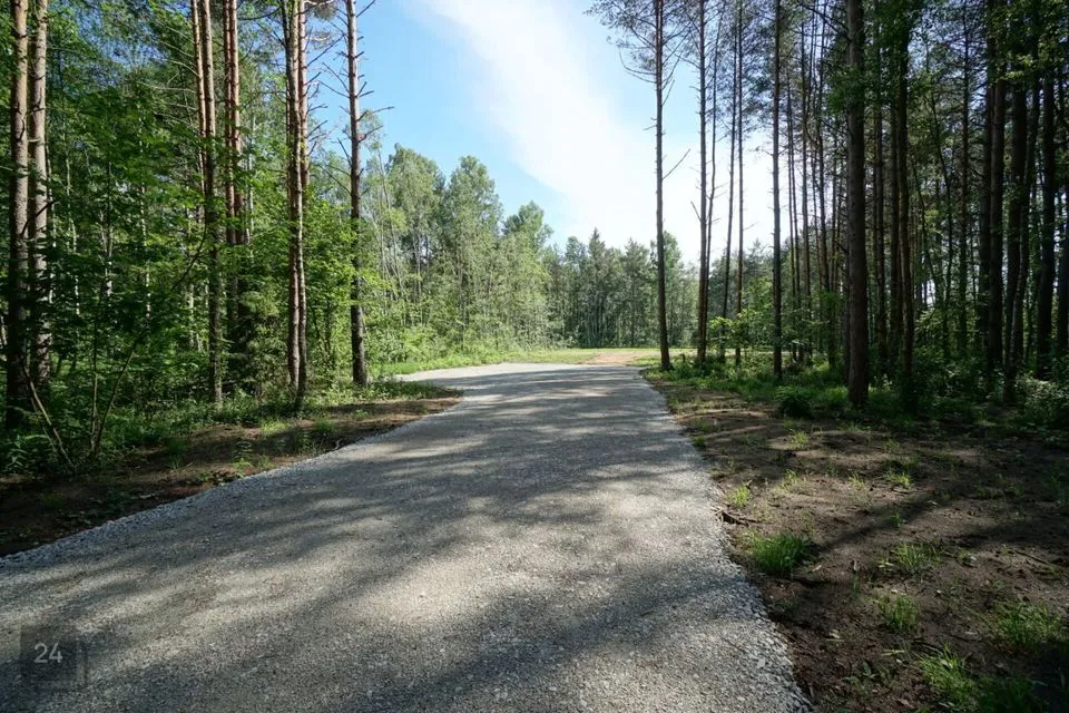 Elamumaa, 33989 m² Maa  -  Saue vald, Alliku küla - foto 2