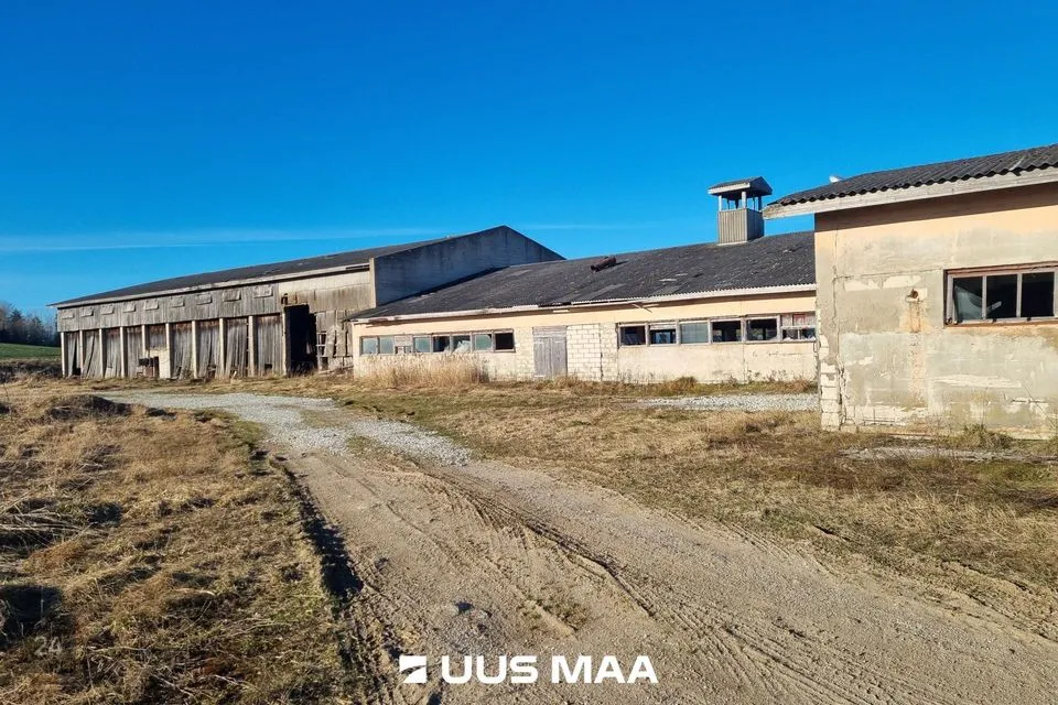 Земля производственного назначения, 21192 m² участок в Vinni vald, Aasuvälja küla - фото 3
