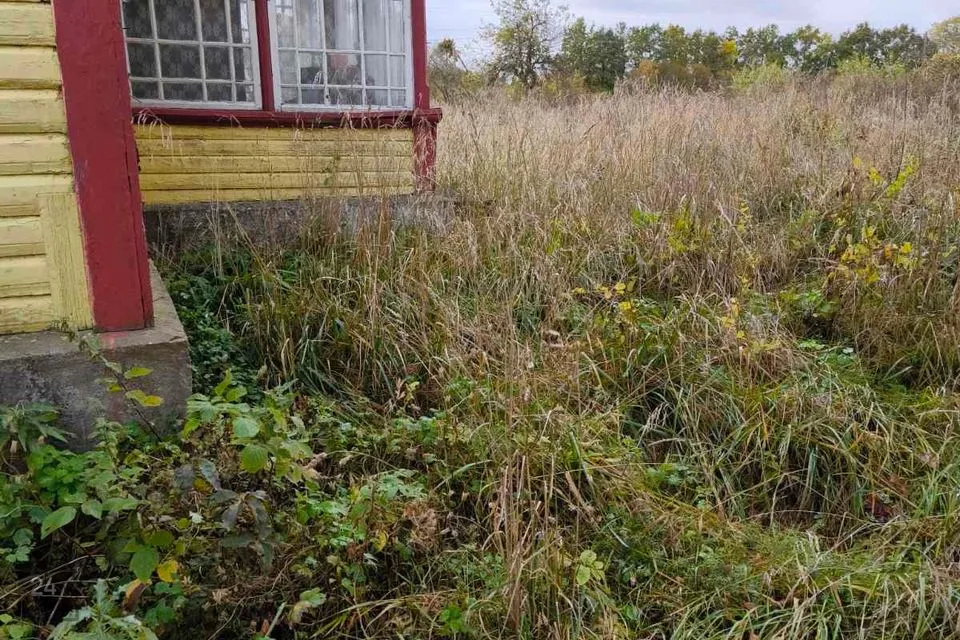 4444 m² Maa  -  Jõhvi vald, Sompa küla - foto 3