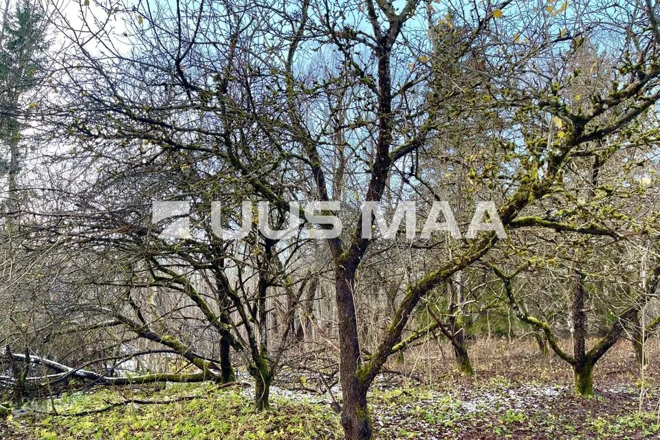 Elamumaa, 9152 m² Maa - Lääneranna vald, Kõmsi küla