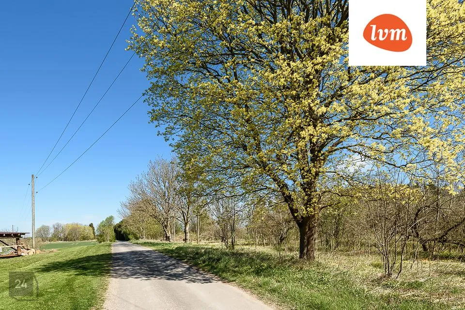 Elamumaa, 10224 m² Maa  -  Saaremaa vald, Kõljala küla - foto 2