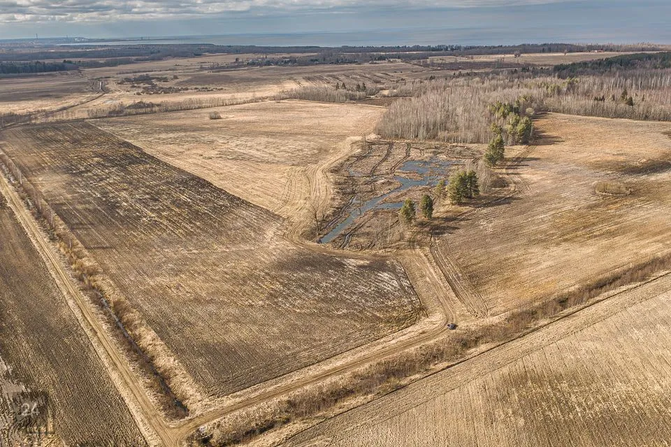 Maatulundusmaa, 117797 m² участок в Narva-Jõesuu linn, Udria küla