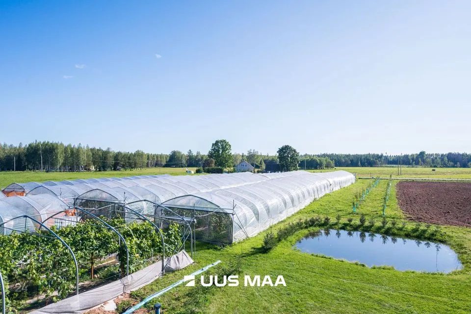 Maatulundusmaa, 12798 m² участок в Võru vald, Kärgula küla - фото 2