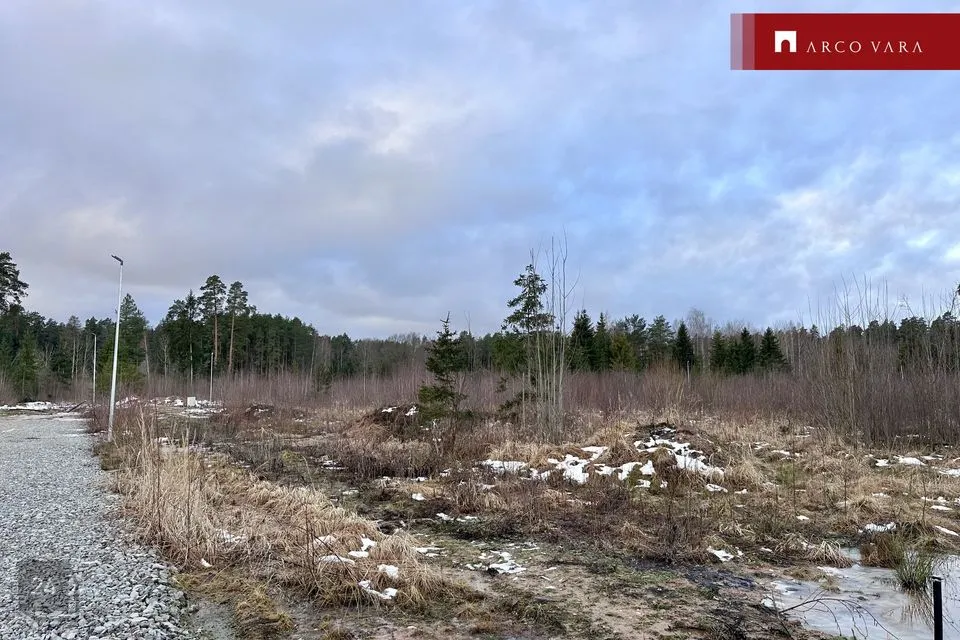 Elamumaa, 1558 m² Maa  -  Kastre vald, Kurepalu küla - foto 4