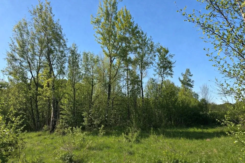 Maatulundusmaa, 21373 m² участок в Lääne-Harju vald, Tõmmiku küla - фото 4
