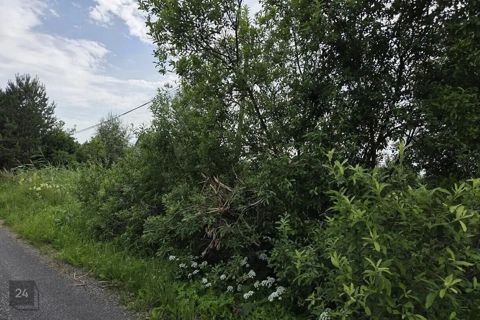 Maatulundusmaa, 2540 m² Maa - Peipsiääre vald, Kasepää alevik