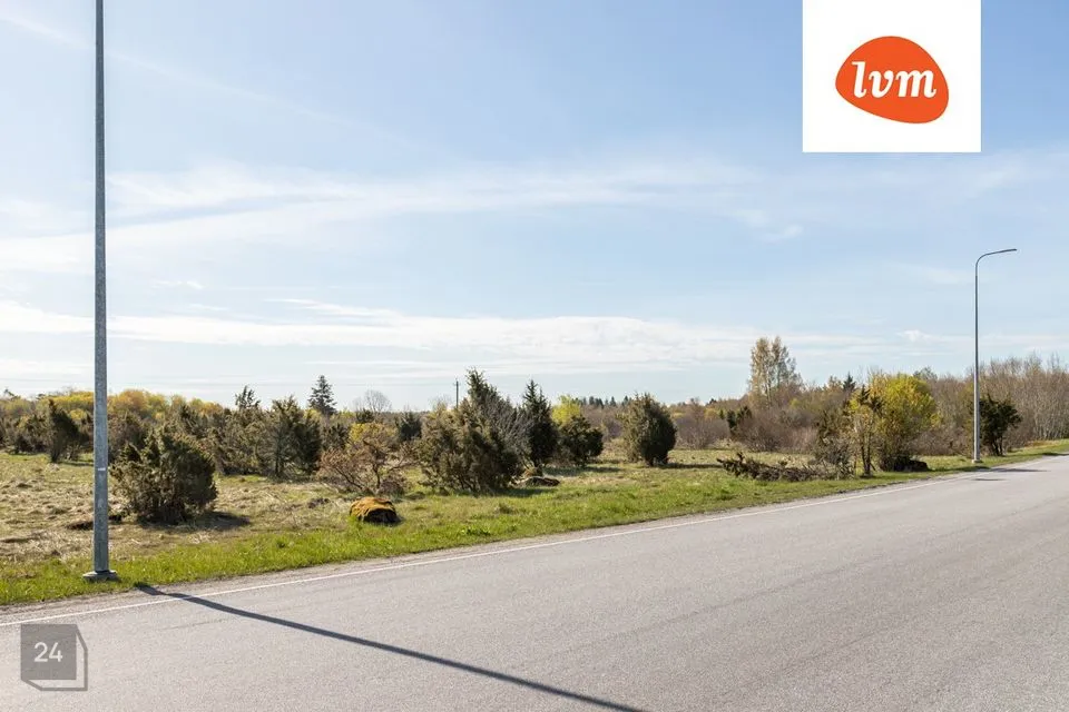 Maatulundusmaa, 67600 m² Maa - Jõelähtme vald, Ruu küla - foto 3