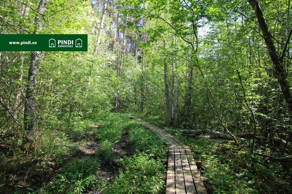 Maatulundusmaa, 50953 m² участок в Vormsi vald, Suuremõisa küla