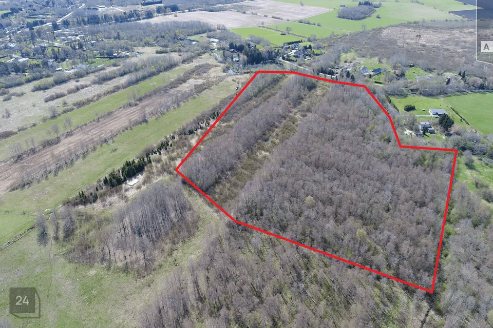 Maatulundusmaa, 84800 m² Maa - Saue vald, Hüüru küla - foto 3