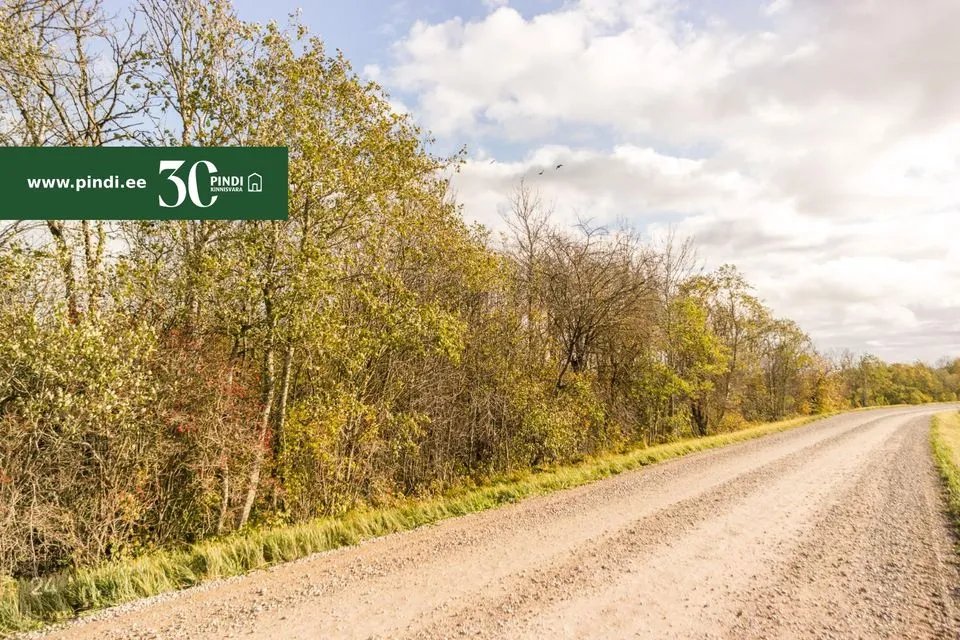 Maatulundusmaa, 10139 m² Maa  -  Lääneranna vald, Ullaste küla - foto 5