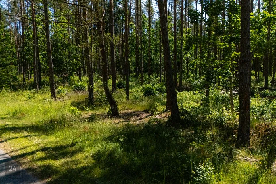 Sotsiaalmaa - üldkasutatav maa, 9910 m² Maa  -  Saaremaa vald, Mätasselja küla - foto 5