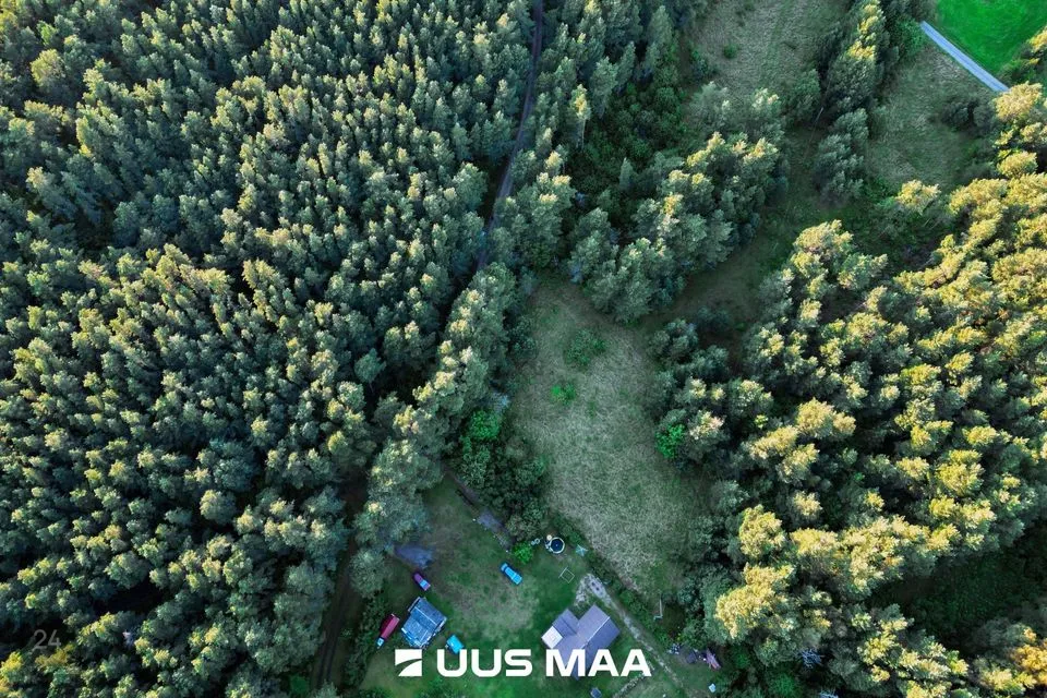 Maatulundusmaa, 3069 m² Maa  -  Kihnu vald, Linaküla - foto 4
