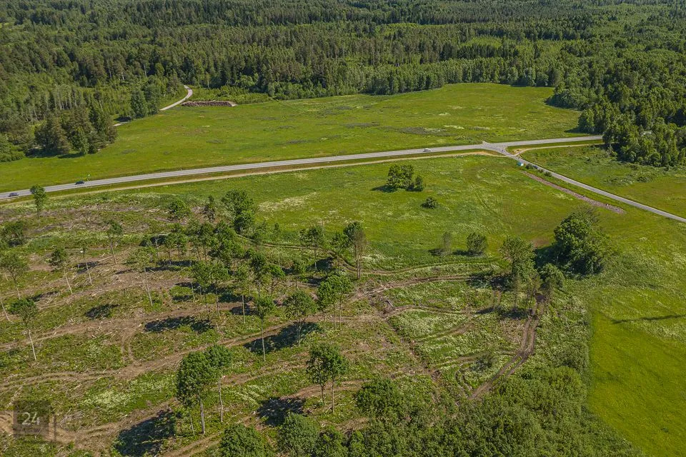 Maatulundusmaa, 20000 m² Maa  -  Alutaguse vald, Edivere küla - foto 4