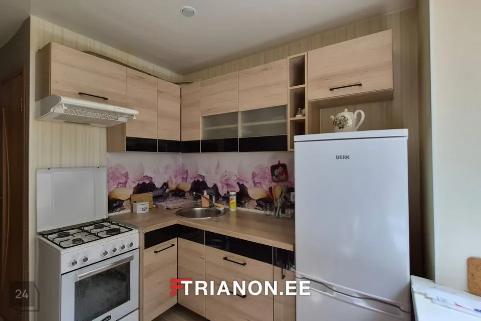 1-toaline Korter  -  Narva linn - foto 5