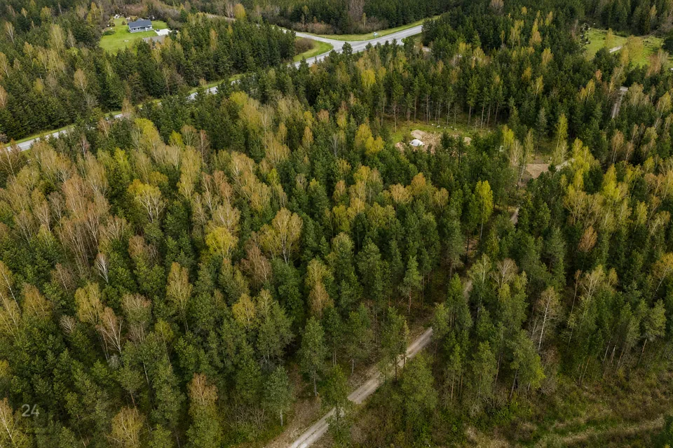 Maatulundusmaa, 20194 m² Maa  -  Saaremaa vald, Lilbi küla