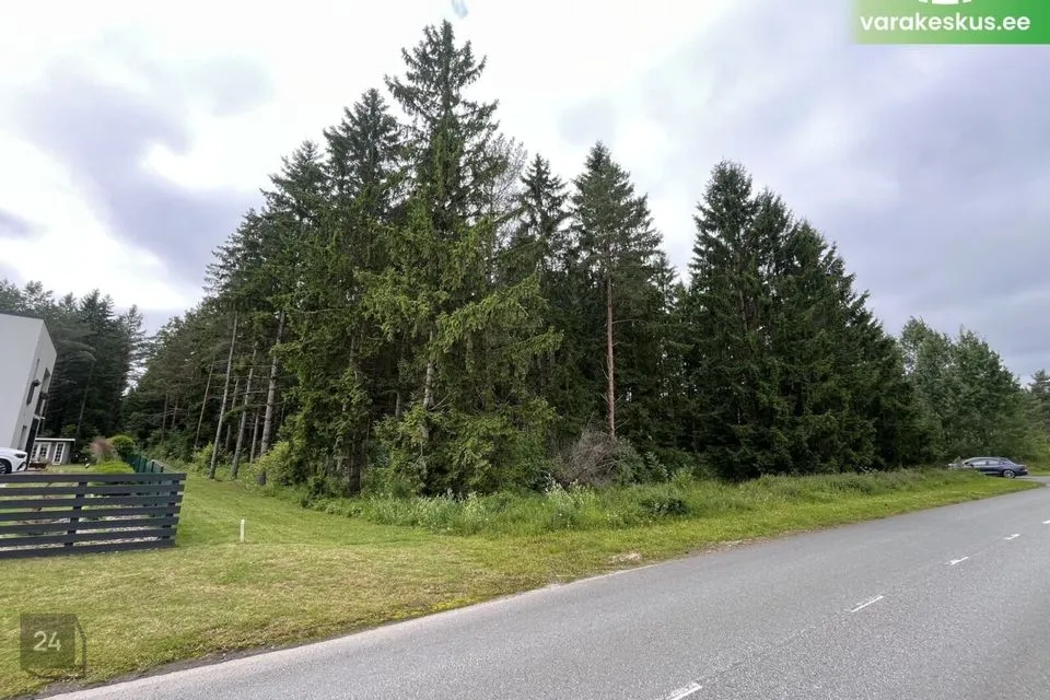 Maatulundusmaa, 54042 m² Maa - Saku vald, Tänassilma küla