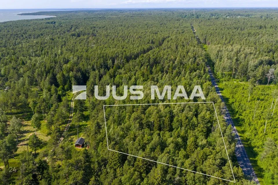 Maatulundusmaa, 5013 m² Maa  -  Lääne-Nigula vald, Elbiku küla / Ölbäck