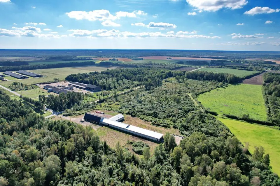 1837 m² Äripind  -  Põhja-Pärnumaa vald, Langerma küla - foto 5