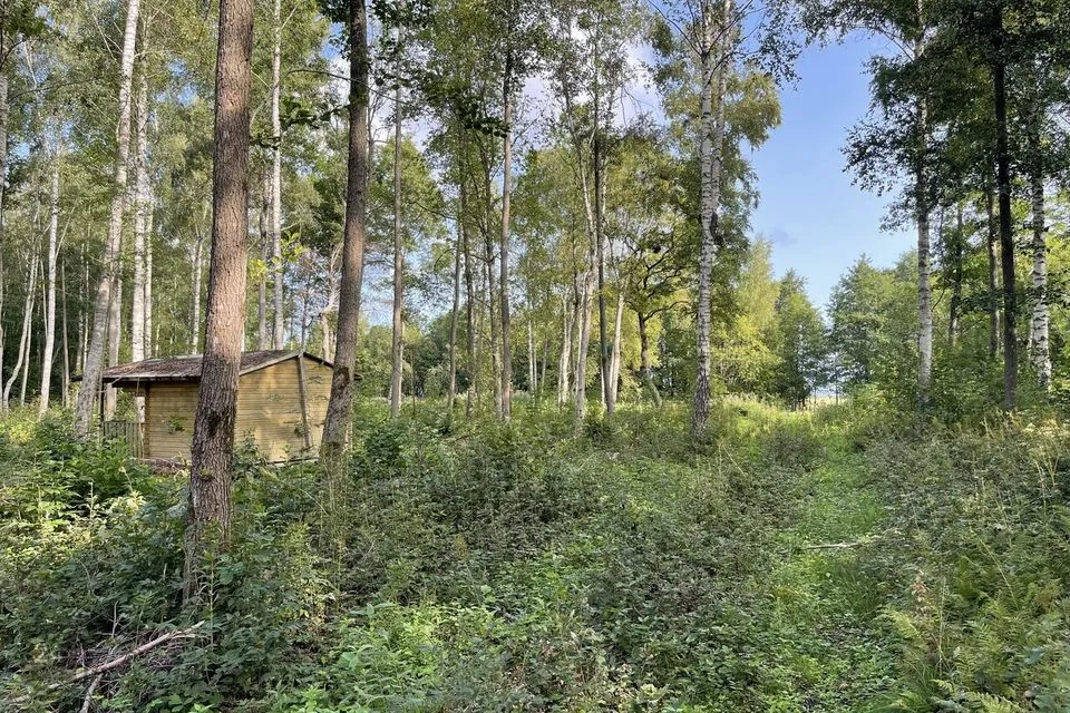 Maatulundusmaa, 15003 m² Maa - Saaremaa vald, Laugu küla - foto 5